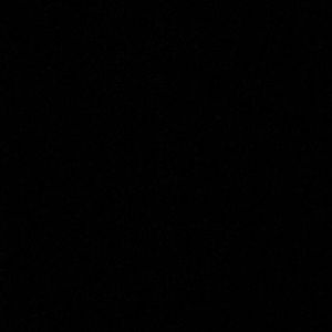 Meet your Posher, Hayley